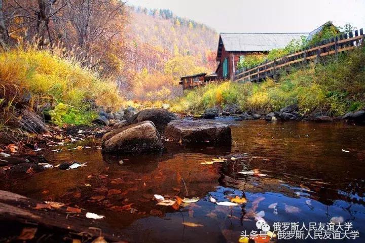 俄罗斯的秋天视频,俄罗斯的深秋美景