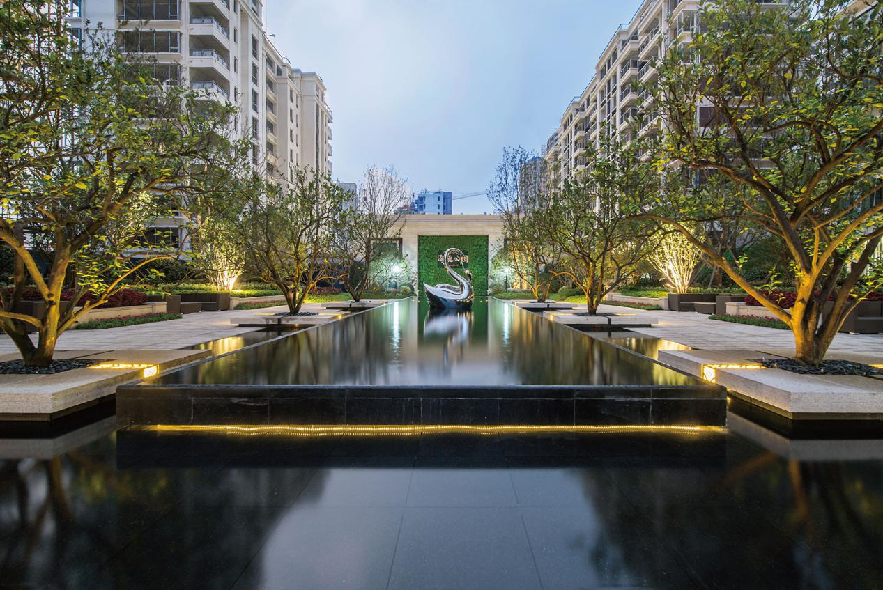 24载德信,恰如“你的生活知己”