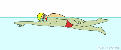学会游泳的简单方法,学会游泳应该是每个人的必备技能
