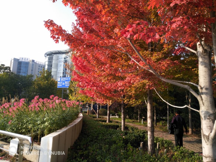 努比亚z17minis侧面照片,努比亚z17minis体验