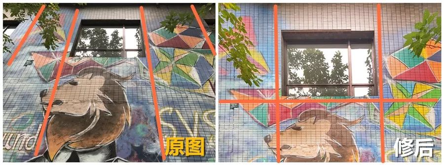 手机摄影要掌握的app,不用电脑的手机摄影app推荐