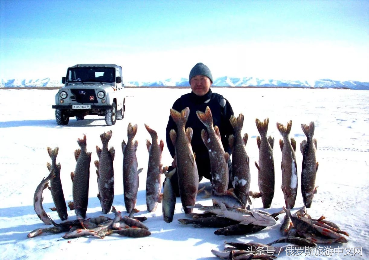 坑人的坑,坑人的坑在哪里