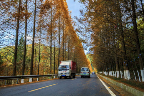 巴山米仓古道在哪里,米仓古道简介