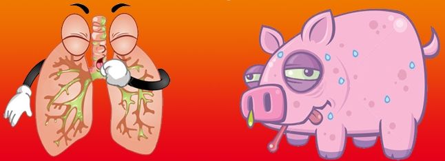 猪流行性感冒(猪流感)用中西兽药防治方案