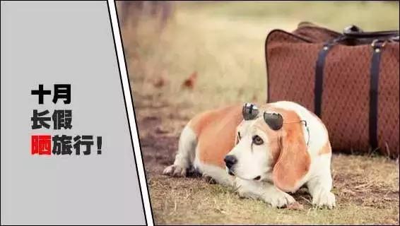 石家庄高中放假时间2022寒假通知,石家庄高校寒假放假最新通告