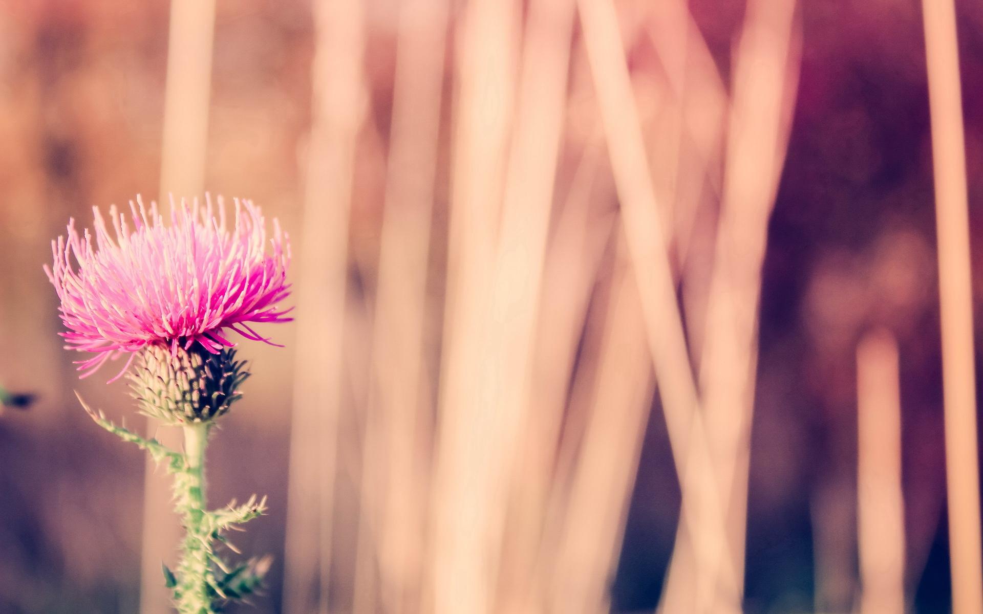 网易云热评你给我滚,网易云热评你在我心里