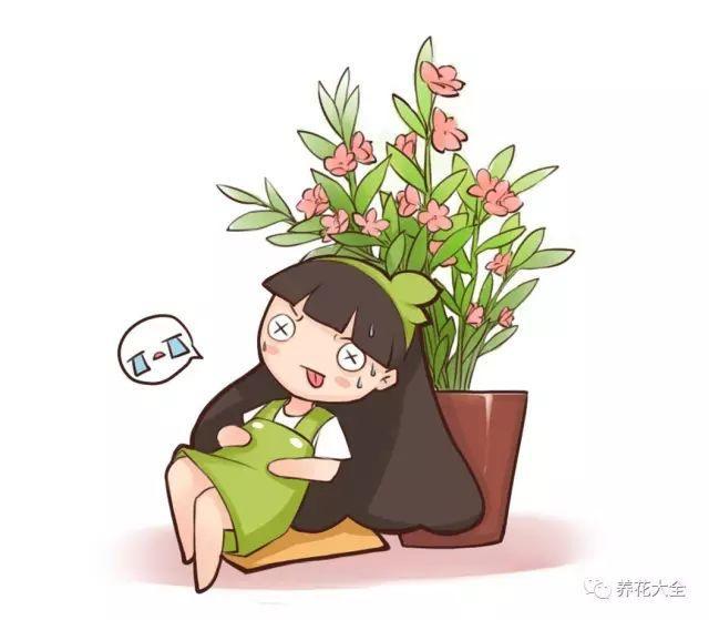 家里哪些花不能用哪些花有毒,家里的花种不好要不要换掉