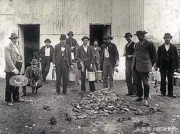 你还见过哪些奇葩职业,19个奇葩职业