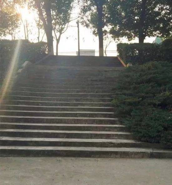 匆匆那年怀念学校,匆匆那年校园回忆