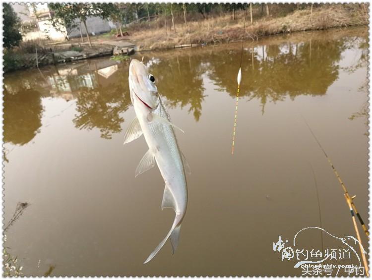 国庆节的来历,国庆头像