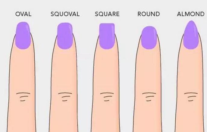 我的手比较粗适合什么样的指甲,哪款甲型适合粗手指