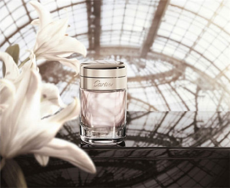 花店玫瑰和百合的香水好闻,多种香水百合