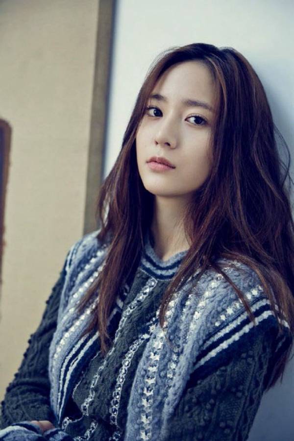 每日花语红山茶,每日花语桔梗花