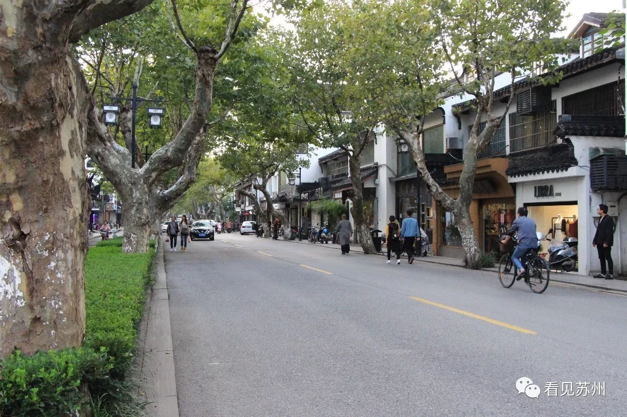 十全街改造,十全街发展前景