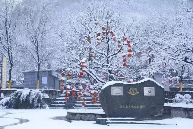 冬天的柿柿如意图片,冬天柿柿如意的图片