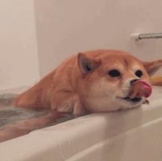 网友血泪控诉:没想到装修建材水这么深?被卖还帮人数钱!