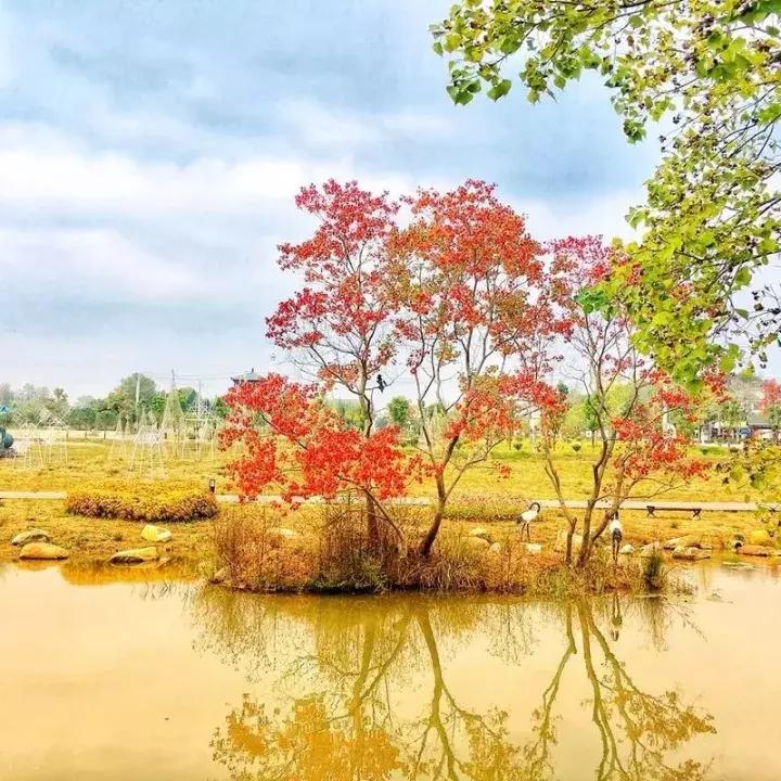 手机拍照拍不出你们的美感,拍照不好看是手机的问题