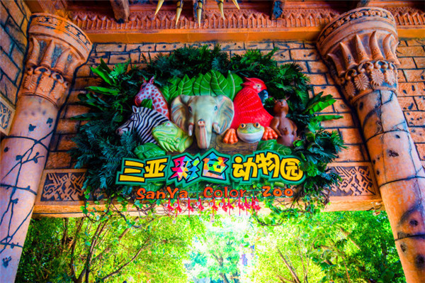 三亚看海美食攻略最值得去的地方,去三亚看海必打卡