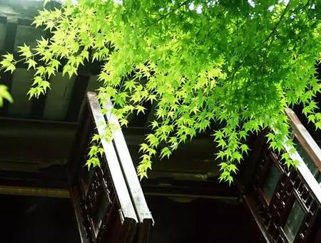 想赚钱却不知道怎么赚？这几个思路帮助你！