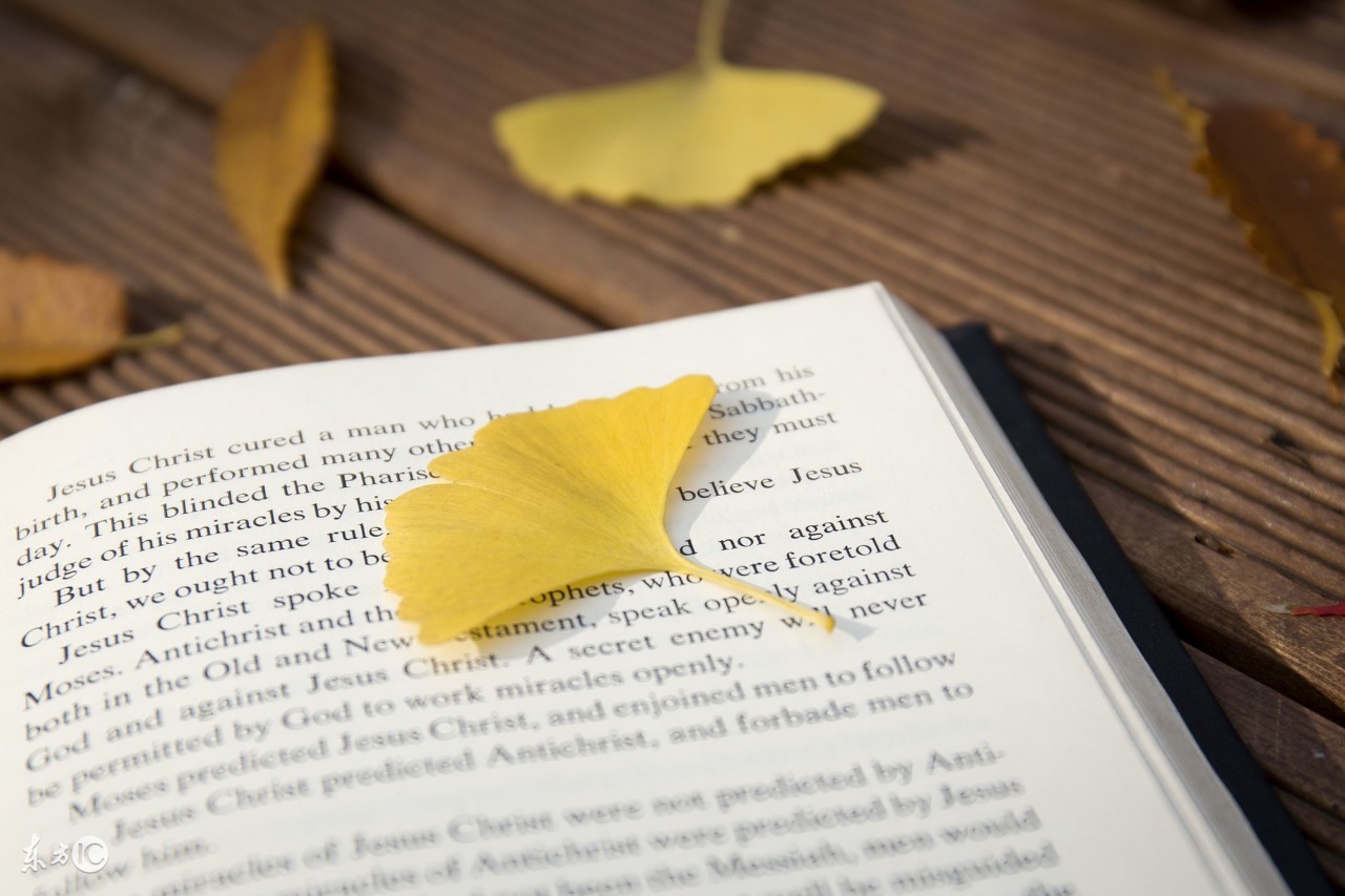 美文精华推荐老屋,美文老屋的记忆