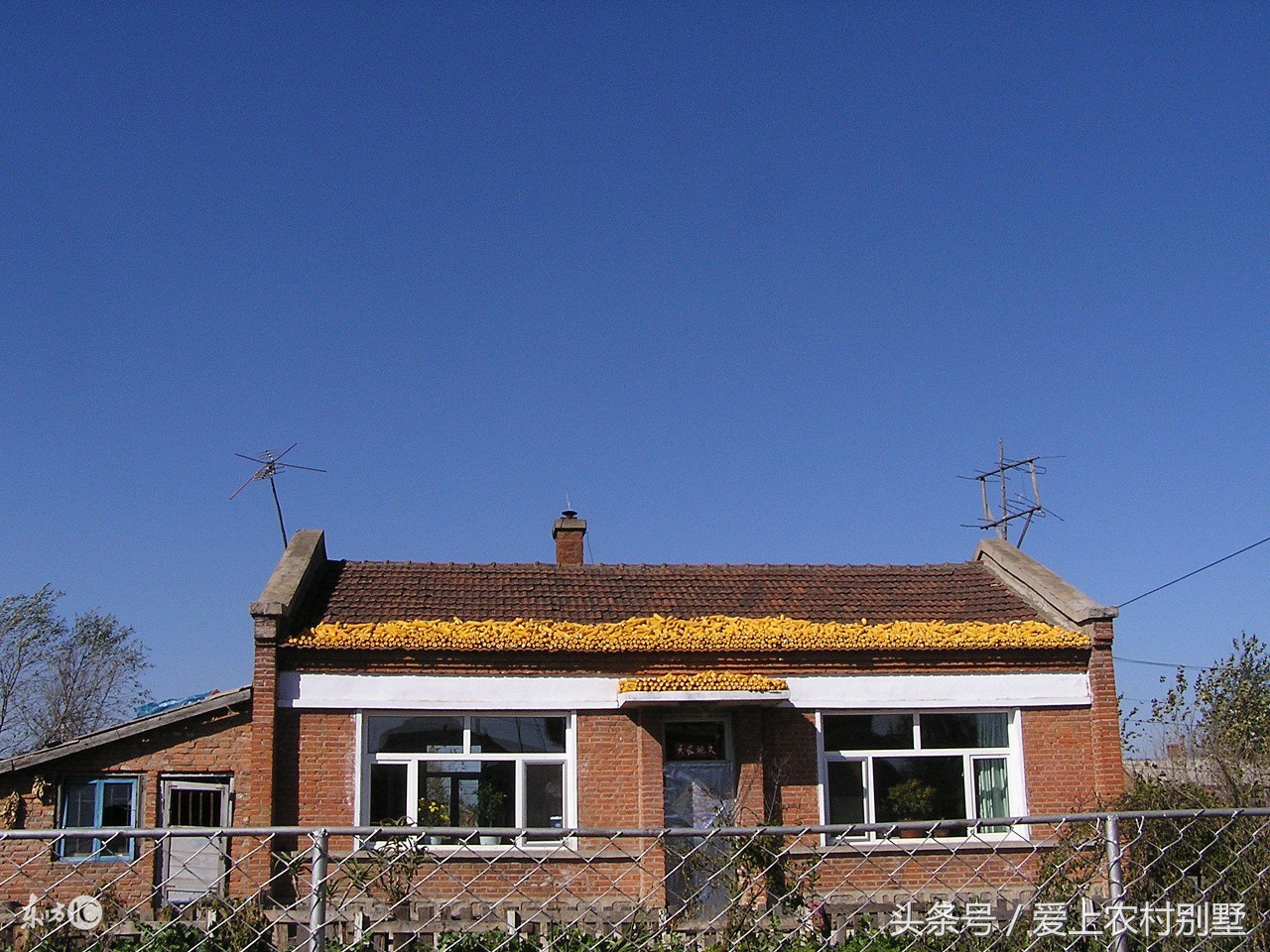 北方农村建房跟南方区别,为什么南方农村都盖楼北方盖平房