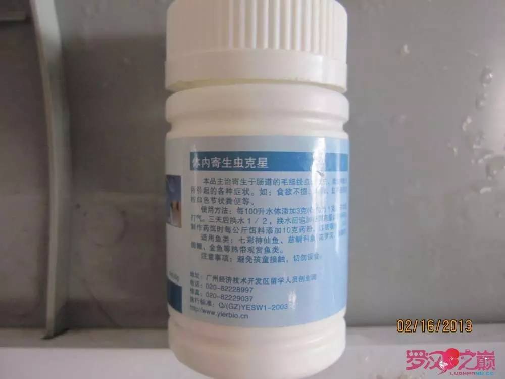 梭菌性肠炎的症状用什么药治疗,肠炎食疗最简单方法