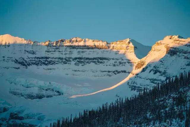 荒野猎人小李子和土著人,荒野猎人小李子救印第安女人