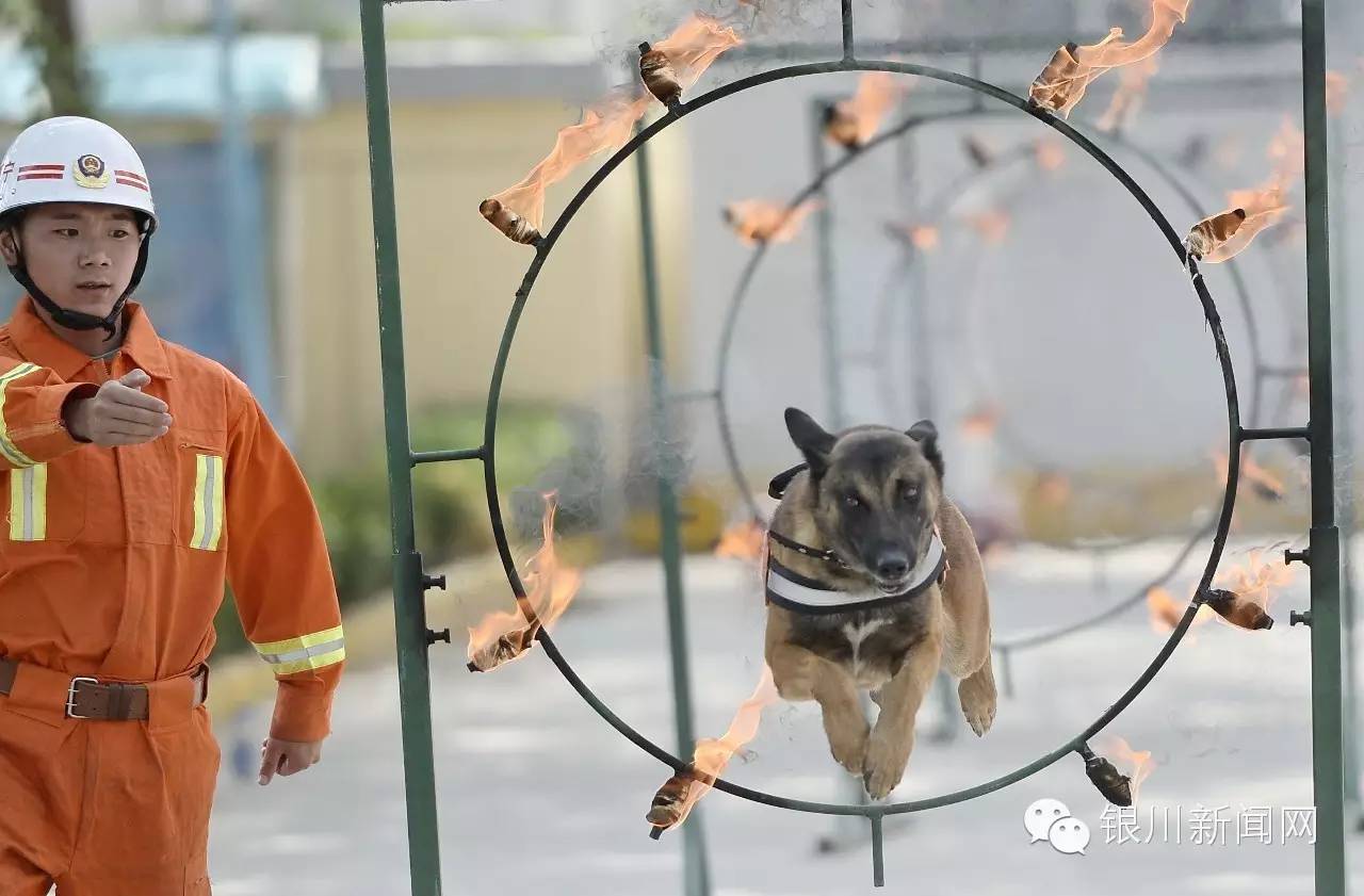 cos乔妹,cos乔妹小家碧玉