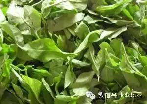 春季野菜采摘图解高清图片,春季野菜多种做法