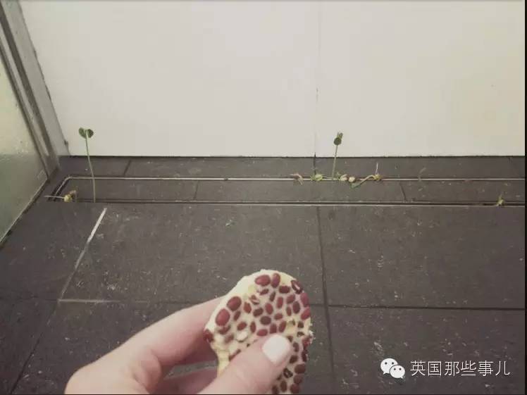 自从这公司出了款带豆子的按摩皂...英国人澡堂开始不对了...