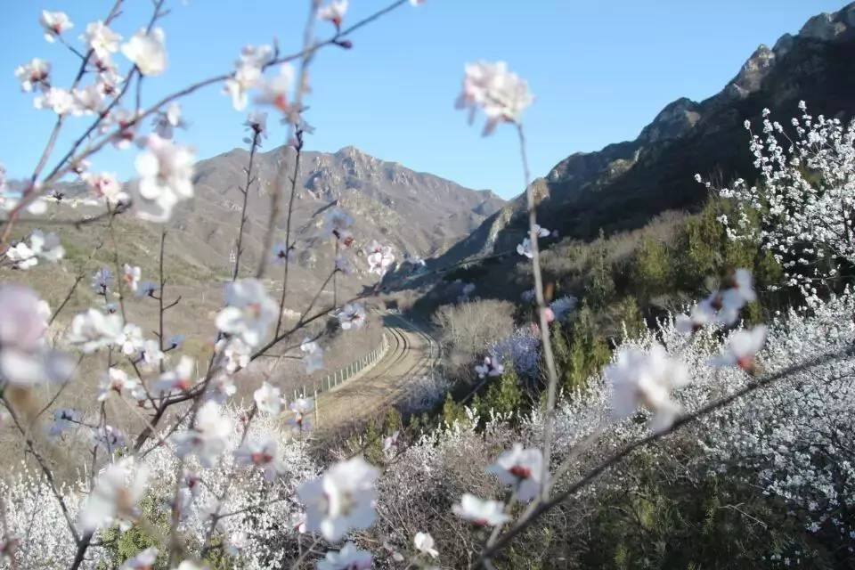 开往春天的列车，我们看图就行了