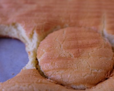 肉松小小贝教学视频,肉松小小贝