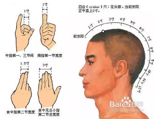 解脱|大好*光春**万物生，脱发掉发烦死人