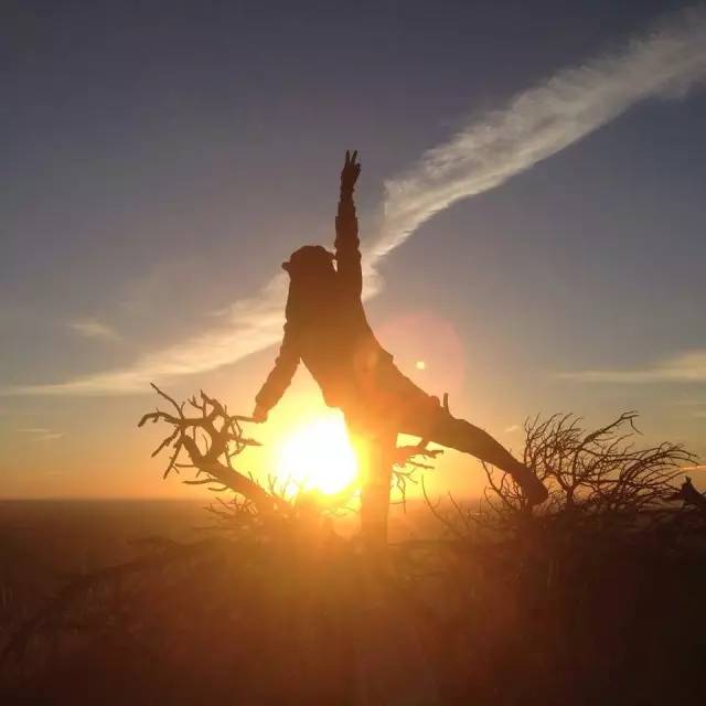 “留学之星”李恬恬——一切都是最好的安排