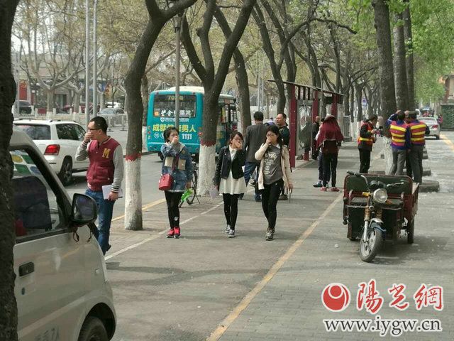 给柳树杨树打针,给杨树打避孕针