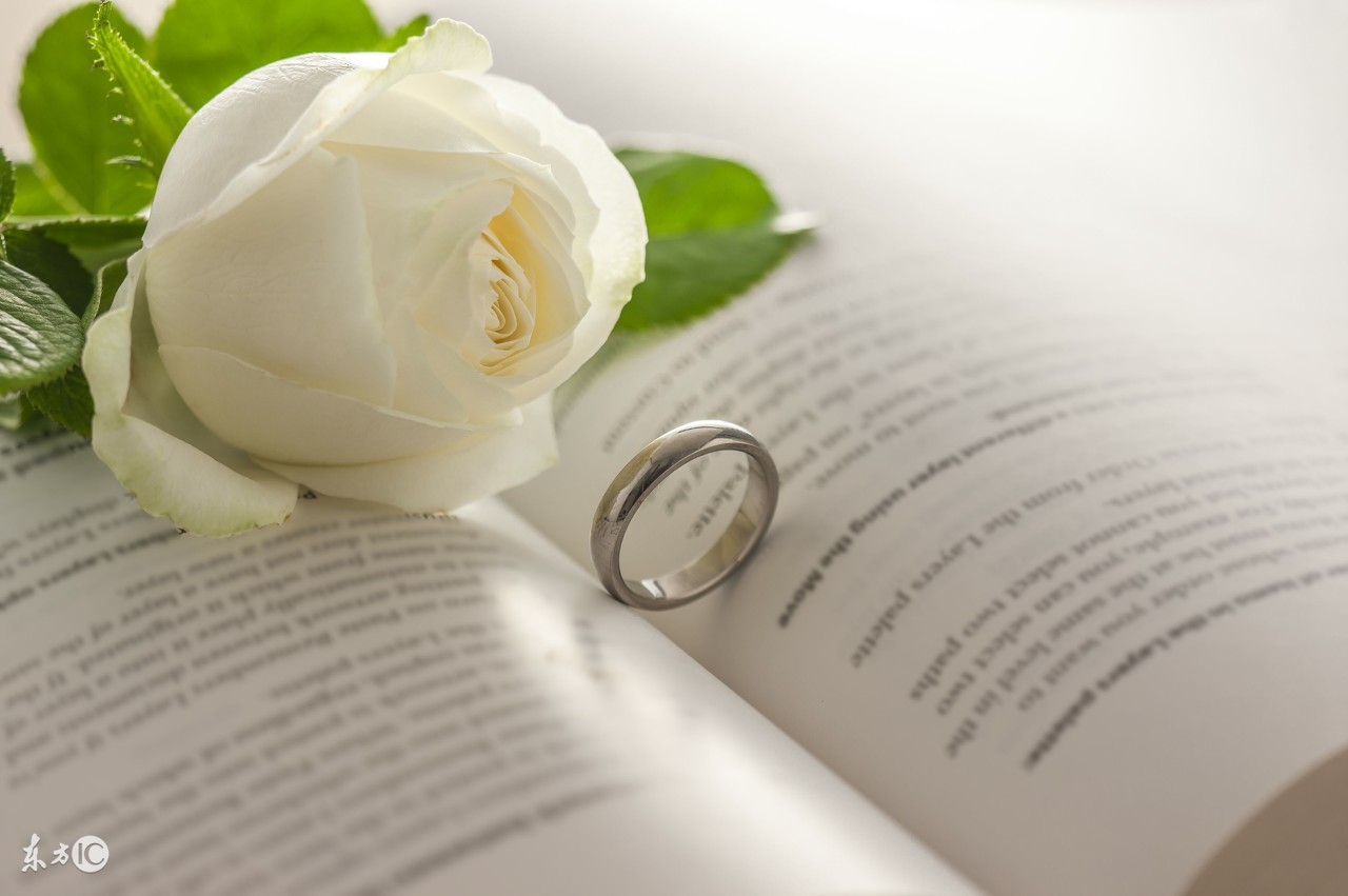 爱情与你有关的句子,和爱情有关的长句子