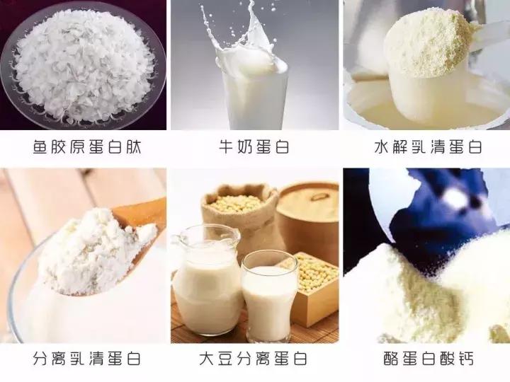 基础代谢提高不上去吃点就胖,如何提高蛋白质和基础代谢