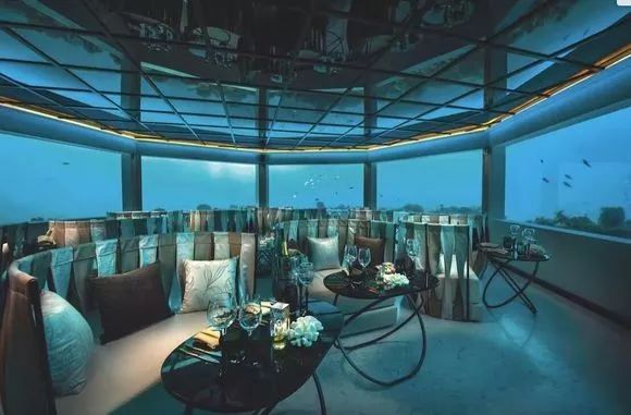 马尔代夫水下餐厅,马尔代夫水下餐厅最后四家免费