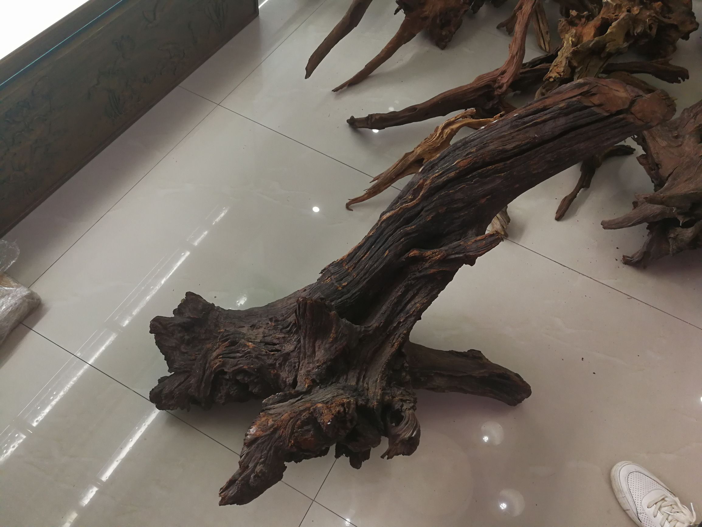 水草缸可以养龙鱼吗,震撼草缸