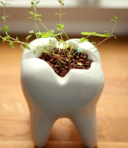 护牙固齿最好的方法,护牙要诀