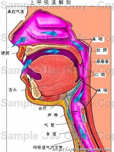 孩子呛着怎么办,孩子呛着了怎么办