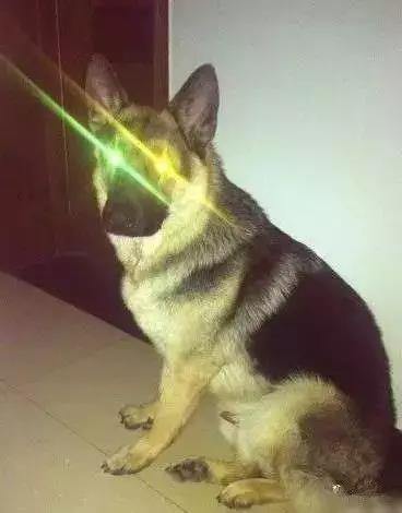 奶奶和八岁孙子对话,奶奶跟孙子的感人对话