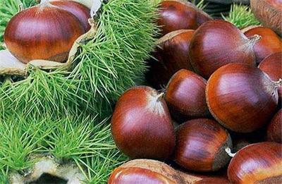 时令水果推荐,最近有什么时令水果比较好吃