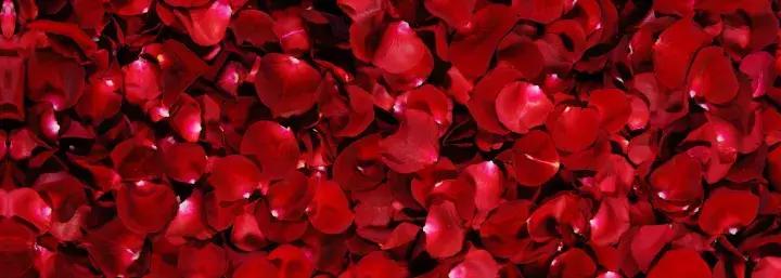 关于玫瑰花的护肤品,香气弥漫的护肤品推荐