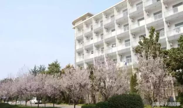 洛阳比较好的高中有哪些,洛阳优质高中有几所