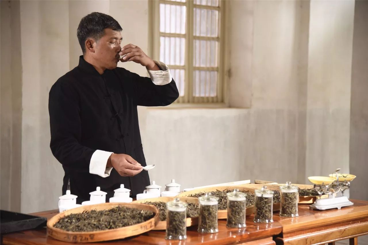 龙润普洱茶大师,中国最顶级茶师谈普洱茶