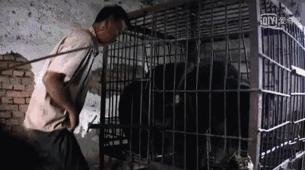 看了让人非常难受的高分电影,这辈子都不想看的电影