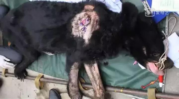 看了让人非常难受的高分电影,这辈子都不想看的电影