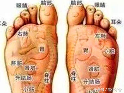 足部反射区健康,12种足部反射区