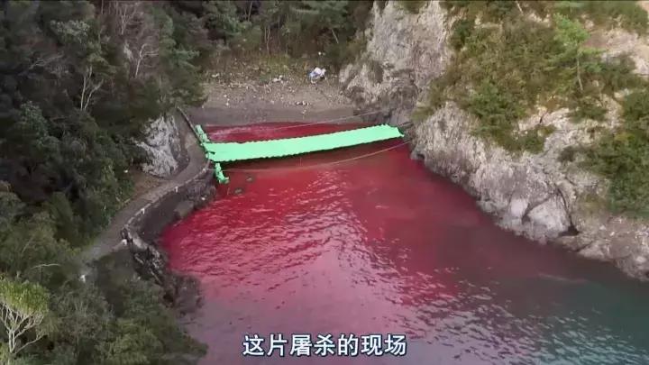 看了让人非常难受的高分电影,这辈子都不想看的电影